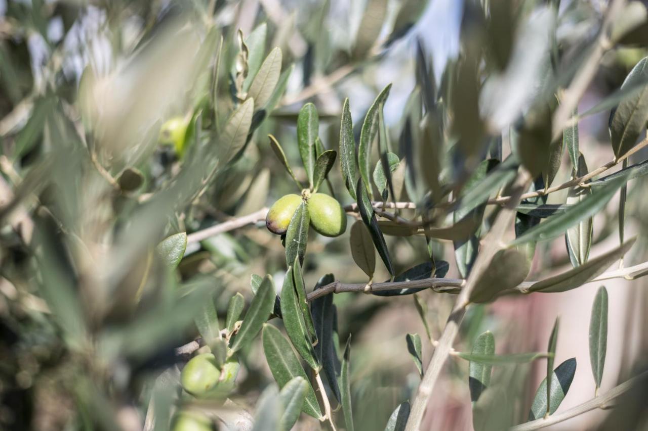 Gallo Fino Ricadi Extérieur photo